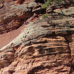 Northern WI All-Outdoors Atlas & Field Guide pg. 058-059