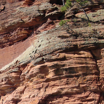 Northern WI All-Outdoors Atlas & Field Guide pg. 058-059