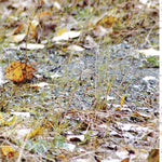 Northern WI All-Outdoors Atlas & Field Guide pg. 112-113