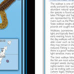 Northern WI All-Outdoors Atlas & Field Guide pg. 004-005