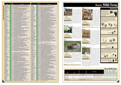 Northern WI All-Outdoors Atlas & Field Guide pg. 042-043