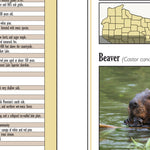 Northern WI All-Outdoors Atlas & Field Guide pg. 042-043