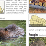 Northern WI All-Outdoors Atlas & Field Guide pg. 042-043