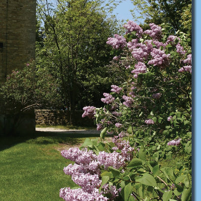 Northern WI All-Outdoors Atlas & Field Guide pg. 152-153