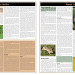 Northern WI All-Outdoors Atlas & Field Guide pg. 024-025