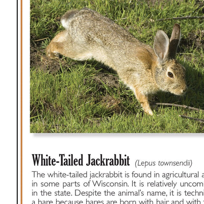 Northern WI All-Outdoors Atlas & Field Guide pg. 024-025