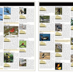 Northern WI All-Outdoors Atlas & Field Guide pg. 046-047