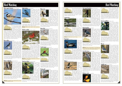 Northern WI All-Outdoors Atlas & Field Guide pg. 046-047