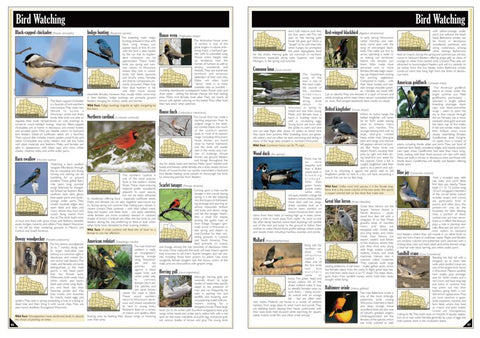 Northern WI All-Outdoors Atlas & Field Guide pg. 046-047