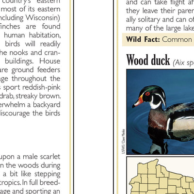 Northern WI All-Outdoors Atlas & Field Guide pg. 046-047