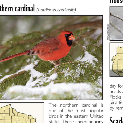 Northern WI All-Outdoors Atlas & Field Guide pg. 046-047