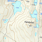 Municipality of Lesja