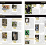 Southern WI All-Outdoors Atlas & Field Guide pg. 042-043