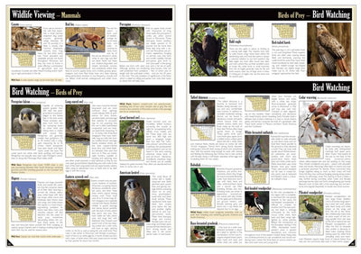 Southern WI All-Outdoors Atlas & Field Guide pg. 042-043