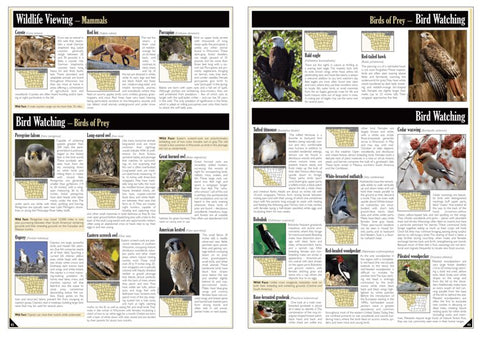 Southern WI All-Outdoors Atlas & Field Guide pg. 042-043