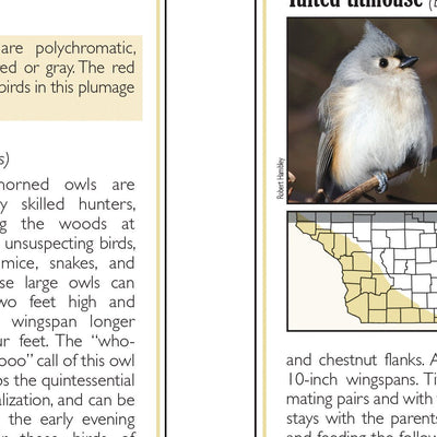 Southern WI All-Outdoors Atlas & Field Guide pg. 042-043