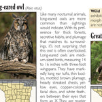 Southern WI All-Outdoors Atlas & Field Guide pg. 042-043