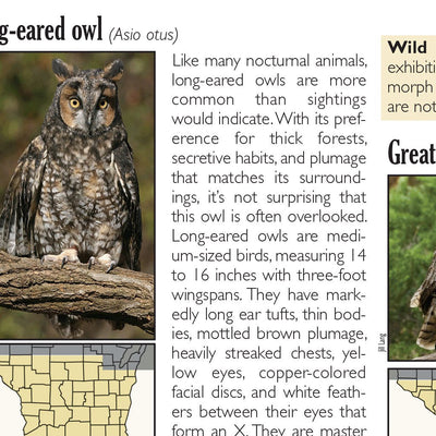 Southern WI All-Outdoors Atlas & Field Guide pg. 042-043