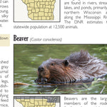 Southern WI All-Outdoors Atlas & Field Guide pg. 040-041