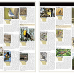 Southern WI All-Outdoors Atlas & Field Guide pg. 046-047