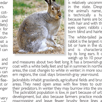 Southern WI All-Outdoors Atlas & Field Guide pg. 022-023