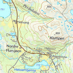 Municipality of Røros