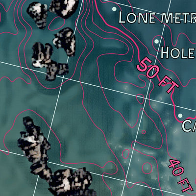 Point Lobos State Marine Reserve