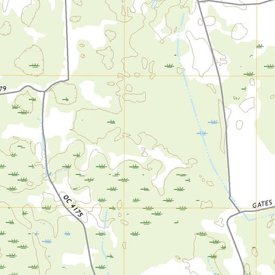 Bowman, SC (2020, 24000-Scale) Preview 2