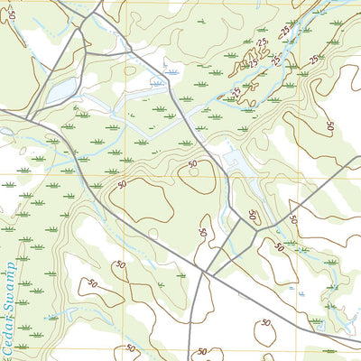 Fowler, SC (2020, 24000-Scale) Preview 3