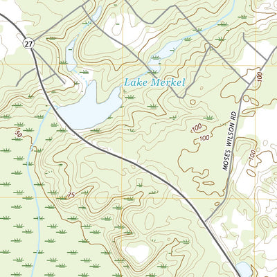 Pringletown, SC (2020, 24000-Scale) Preview 3
