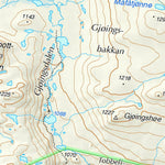 Municipality of Skjåk