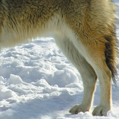 Central-Northwest MN All-Outdoors Atlas & Field Guide pg. 034-035