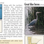 Central-Northwest MN All-Outdoors Atlas & Field Guide pg. 148-149