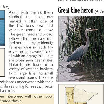 Central-Northwest MN All-Outdoors Atlas & Field Guide pg. 148-149