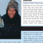 Central-Northwest MN All-Outdoors Atlas & Field Guide pg. 108-109