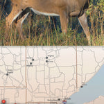 Central-Northwest MN All-Outdoors Atlas & Field Guide pg. 118-119