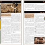 Central-Northwest MN All-Outdoors Atlas & Field Guide pg. 132-133