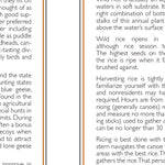 Central-Northwest MN All-Outdoors Atlas & Field Guide pg. 132-133