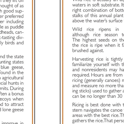 Central-Northwest MN All-Outdoors Atlas & Field Guide pg. 132-133