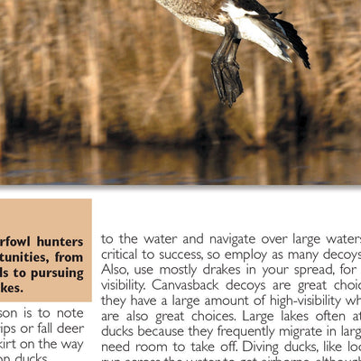 Central-Northwest MN All-Outdoors Atlas & Field Guide pg. 132-133