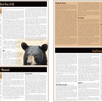 Central-Northwest MN All-Outdoors Atlas & Field Guide pg. 128-129