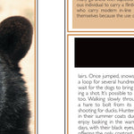 Central-Northwest MN All-Outdoors Atlas & Field Guide pg. 128-129