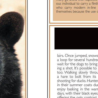 Central-Northwest MN All-Outdoors Atlas & Field Guide pg. 128-129