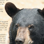 Central-Northwest MN All-Outdoors Atlas & Field Guide pg. 128-129