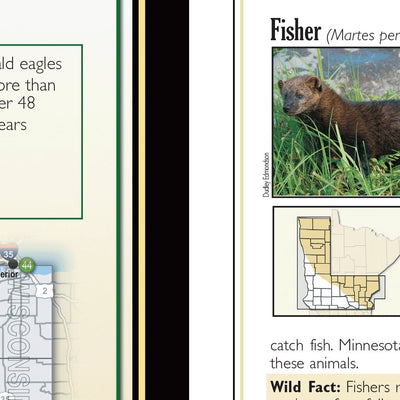 Central-Northwest MN All-Outdoors Atlas & Field Guide pg. 142-143