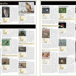 Central-Northwest MN All-Outdoors Atlas & Field Guide pg. 146-147