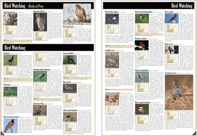 Central-Northwest MN All-Outdoors Atlas & Field Guide pg. 146-147