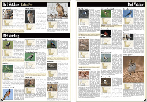 Central-Northwest MN All-Outdoors Atlas & Field Guide pg. 146-147