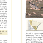 Central-Northwest MN All-Outdoors Atlas & Field Guide pg. 146-147