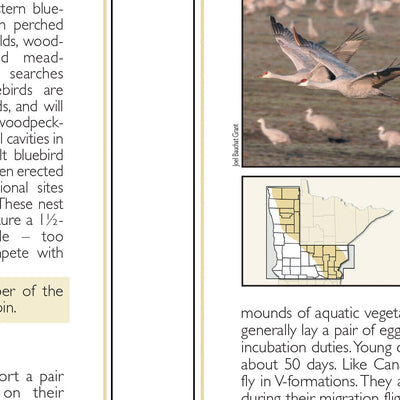 Central-Northwest MN All-Outdoors Atlas & Field Guide pg. 146-147